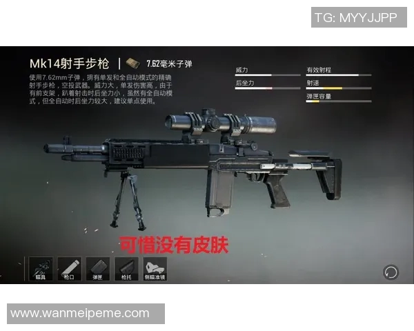 电竞新闻和平精英V5团队协作专题解析提升战斗力与默契配合技巧